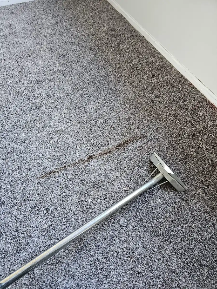 Green and Clean technician cleaning a carpet with hot water extraction